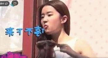 2026内娱首爆大瓜：司晓迪自曝涉顶流风波引发热议