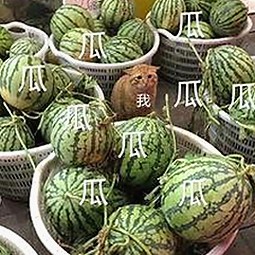 上海名师张越出轨风波：16岁学生牵出师生关系裂痕